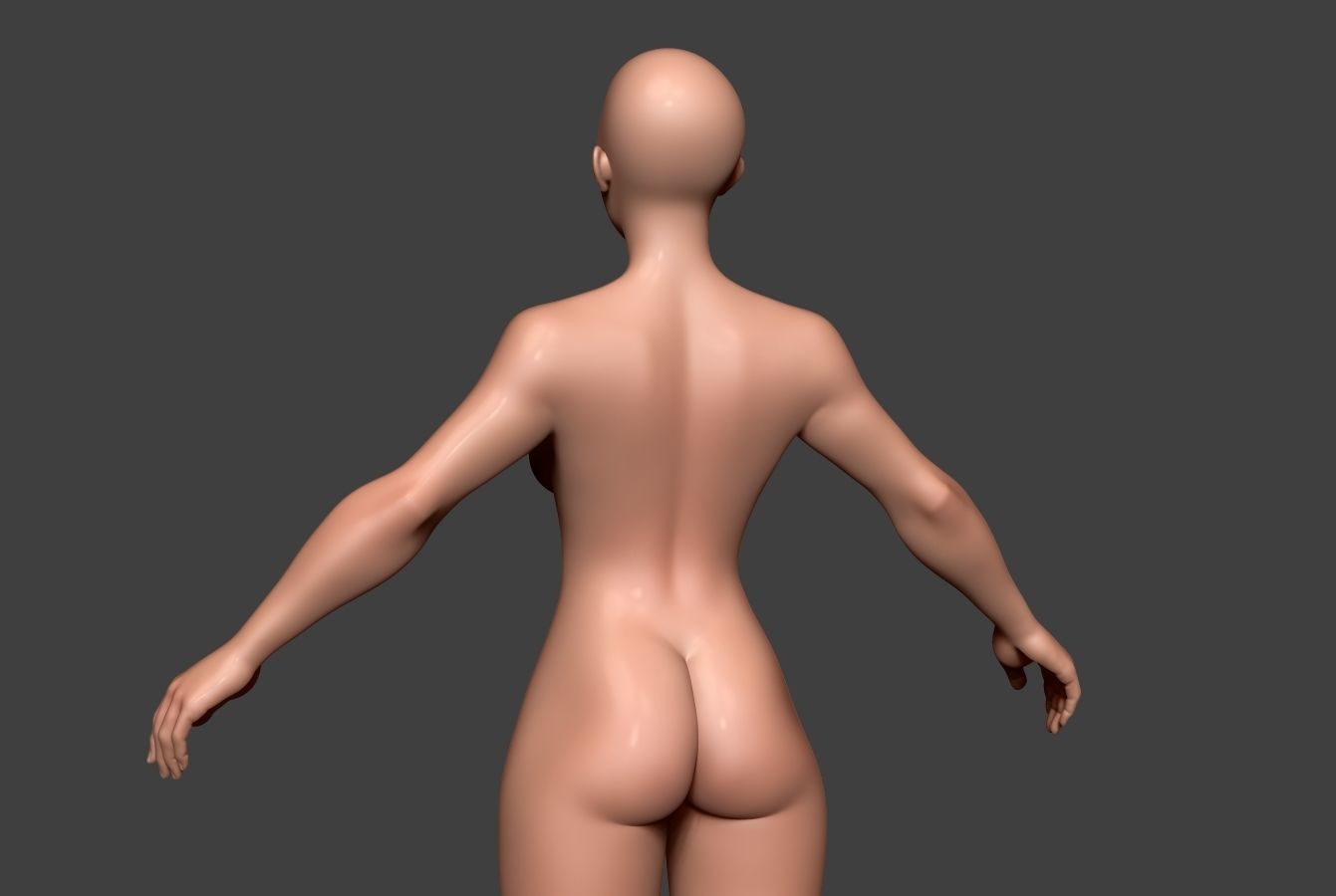 Female Body Basemesh 9 Low-poly 3D model_2