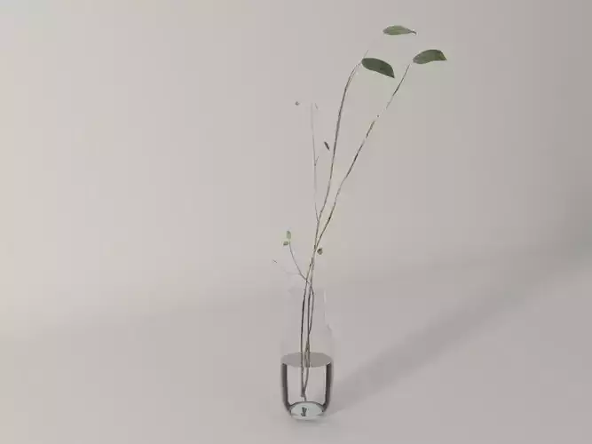 Glass vase with branches - Interior plant pot