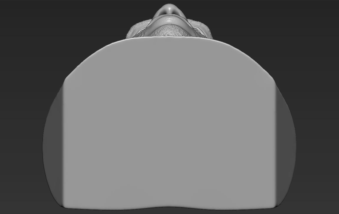 Shaq ONeal bust ready for full color 3D printing 3D print model_42