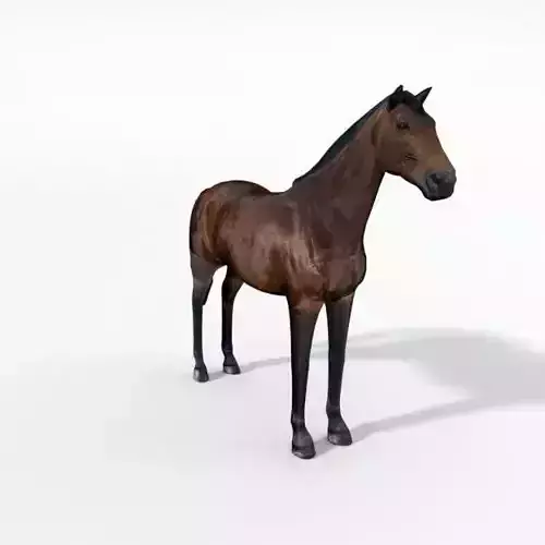 Horse Low-poly 3D model