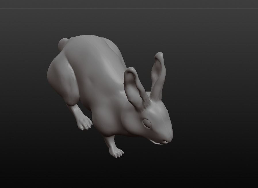 rabbit pig 3D model_5
