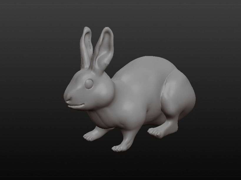 rabbit pig 3D model_6