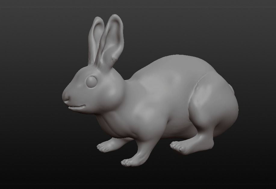 rabbit pig 3D model_9