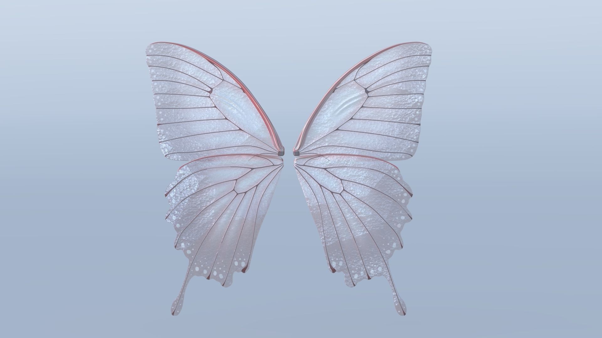 Fairy or Butterfly Wings Set B 3D model_1