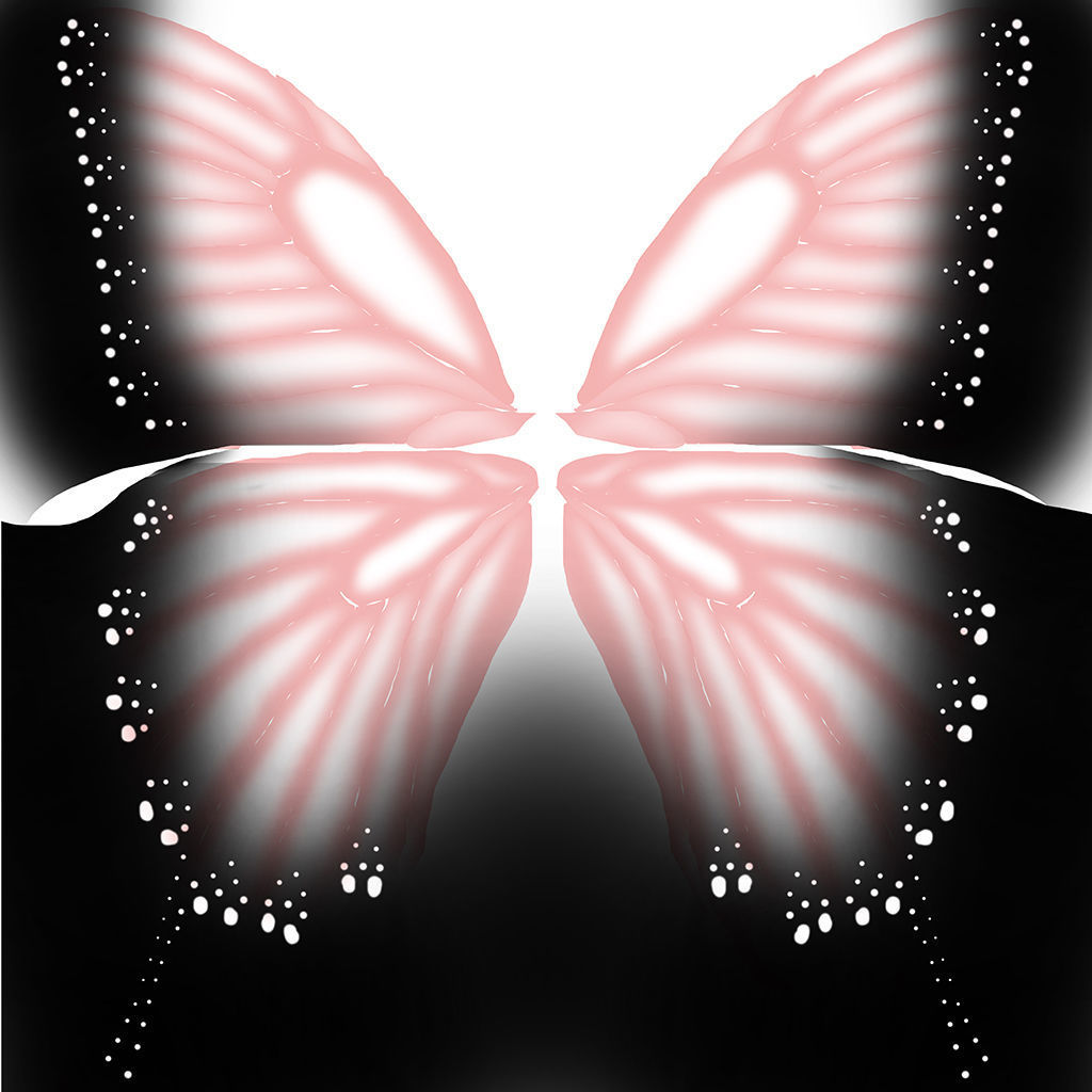 Fairy or Butterfly Wings Set B 3D model_6