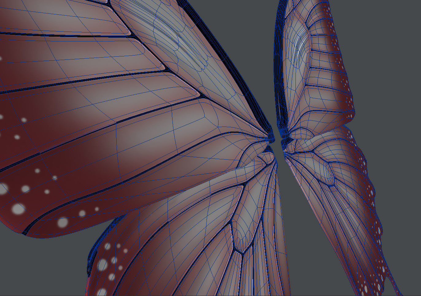 Fairy or Butterfly Wings Set B 3D model_4