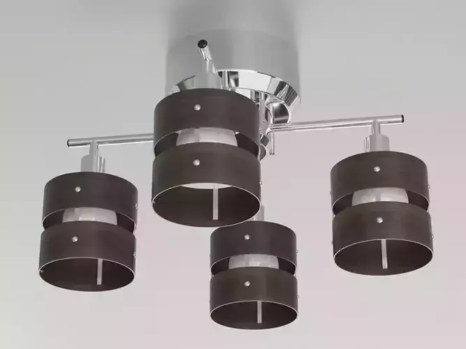 Living Room Ceiling Light