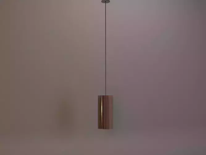 Hanging ceiling wood light