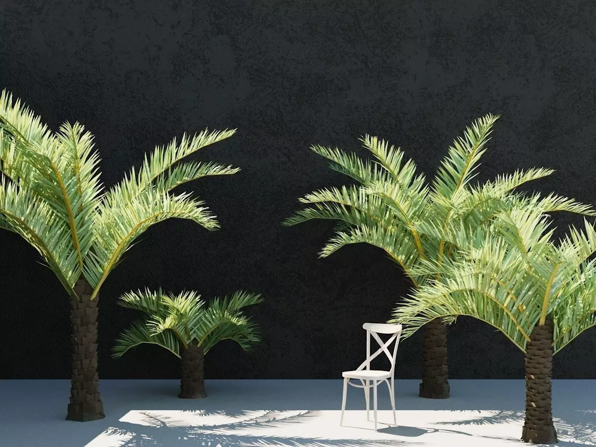 3D Date Palm 3D model