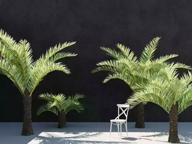 3D Date Palm 3D model