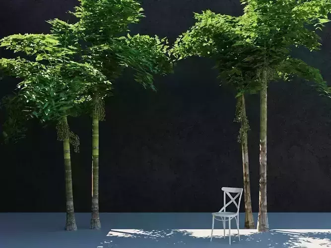 3D Caryota urens Palm