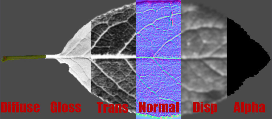 Plum leaf Low-poly 3D model_4