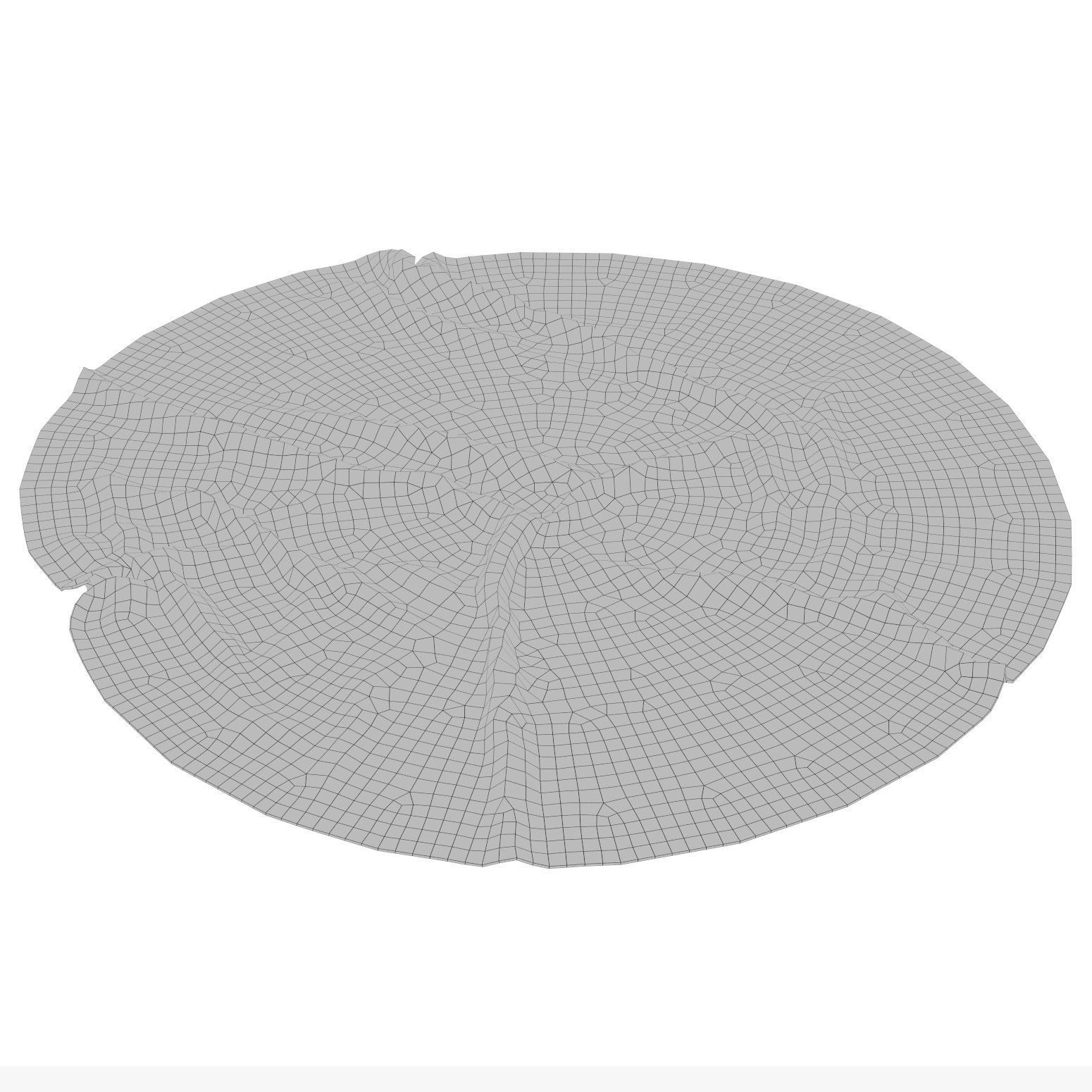 Anderson Rug 3D model_1