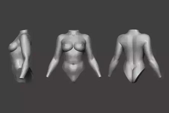 Female Torso 13 3D model Female Torso 13 3D model