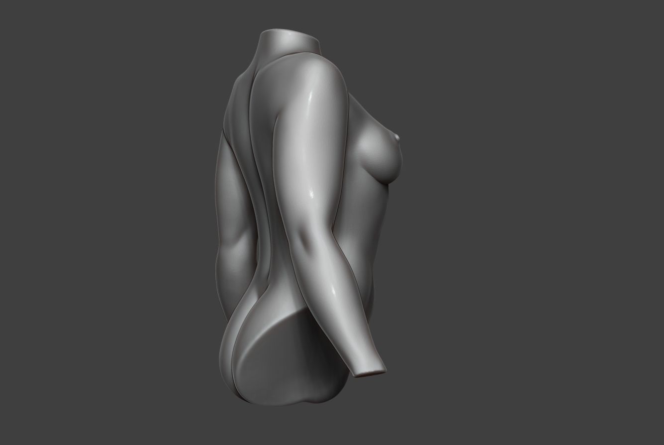 Female Torso 13 3D model_3