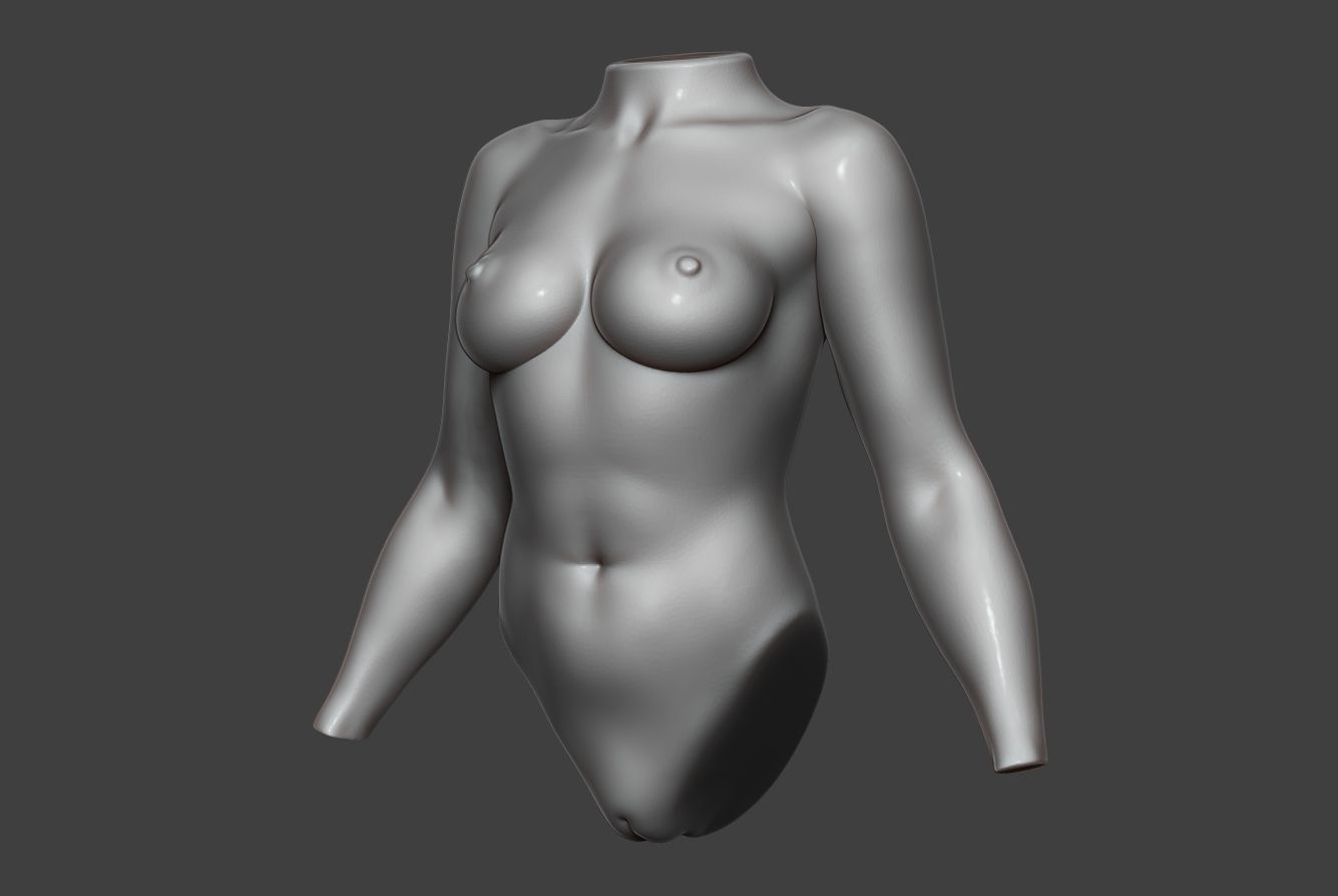 Female Torso 13 3D model_2