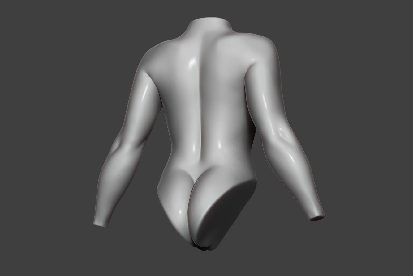 Female Torso 13 3D model_8