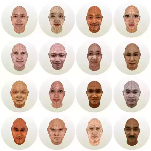 human heads collection