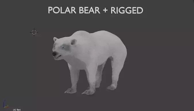 polar bear 3D model