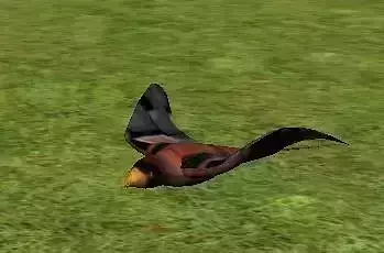 Birds bird flying in grass