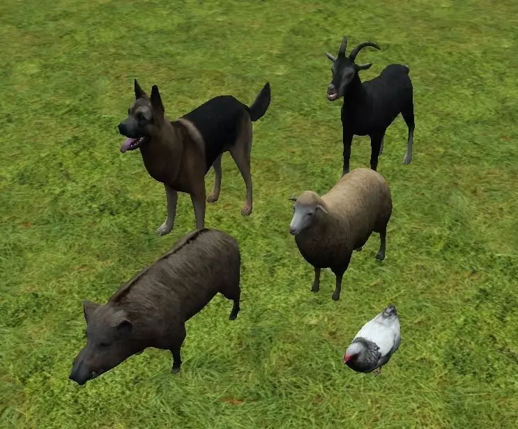 chicken models 3D model_0