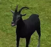 goat model in grass