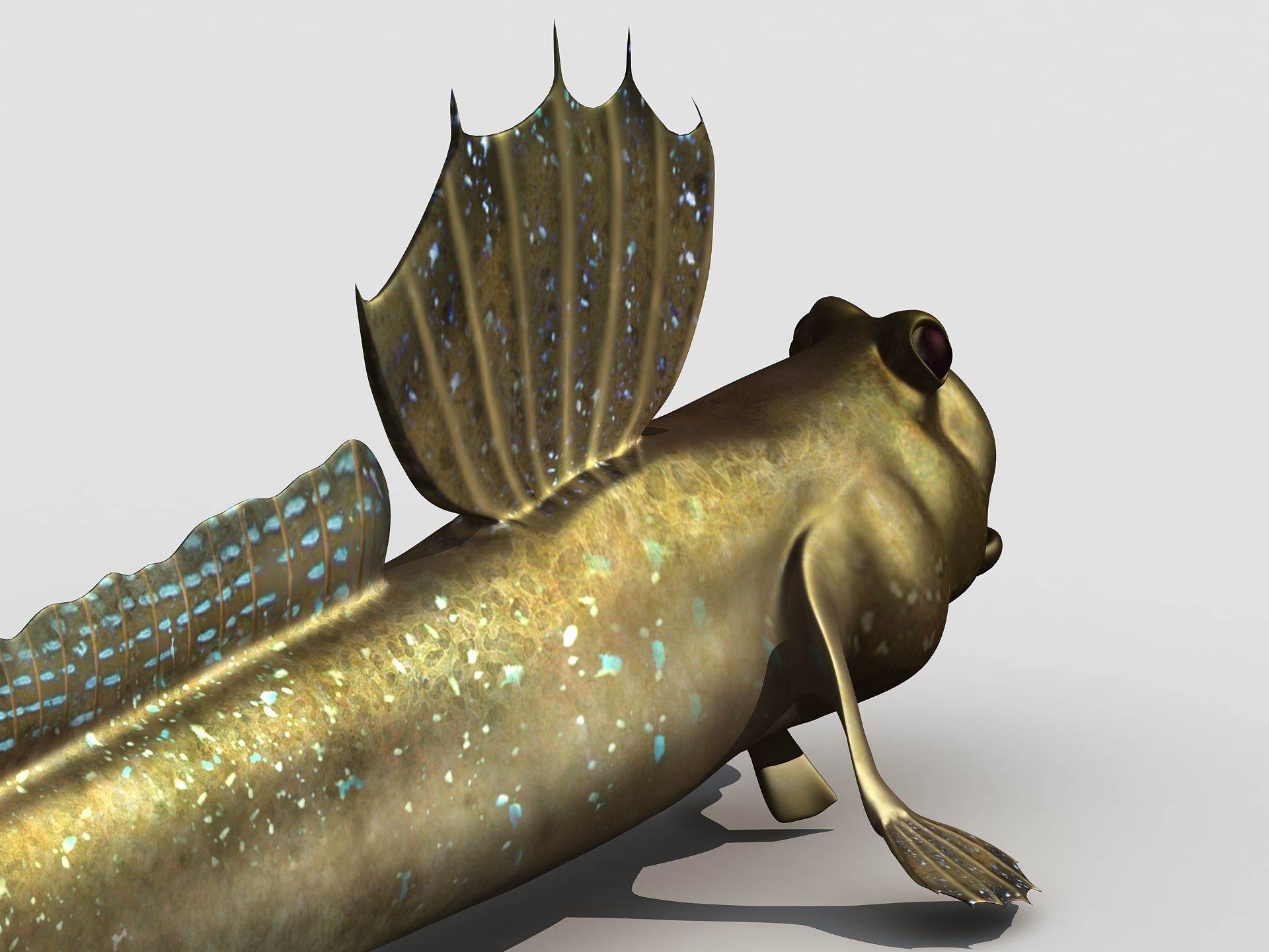 Jump Fish Boleophthalmus Pectinirostris Mudskippers  Low-poly 3D model_2