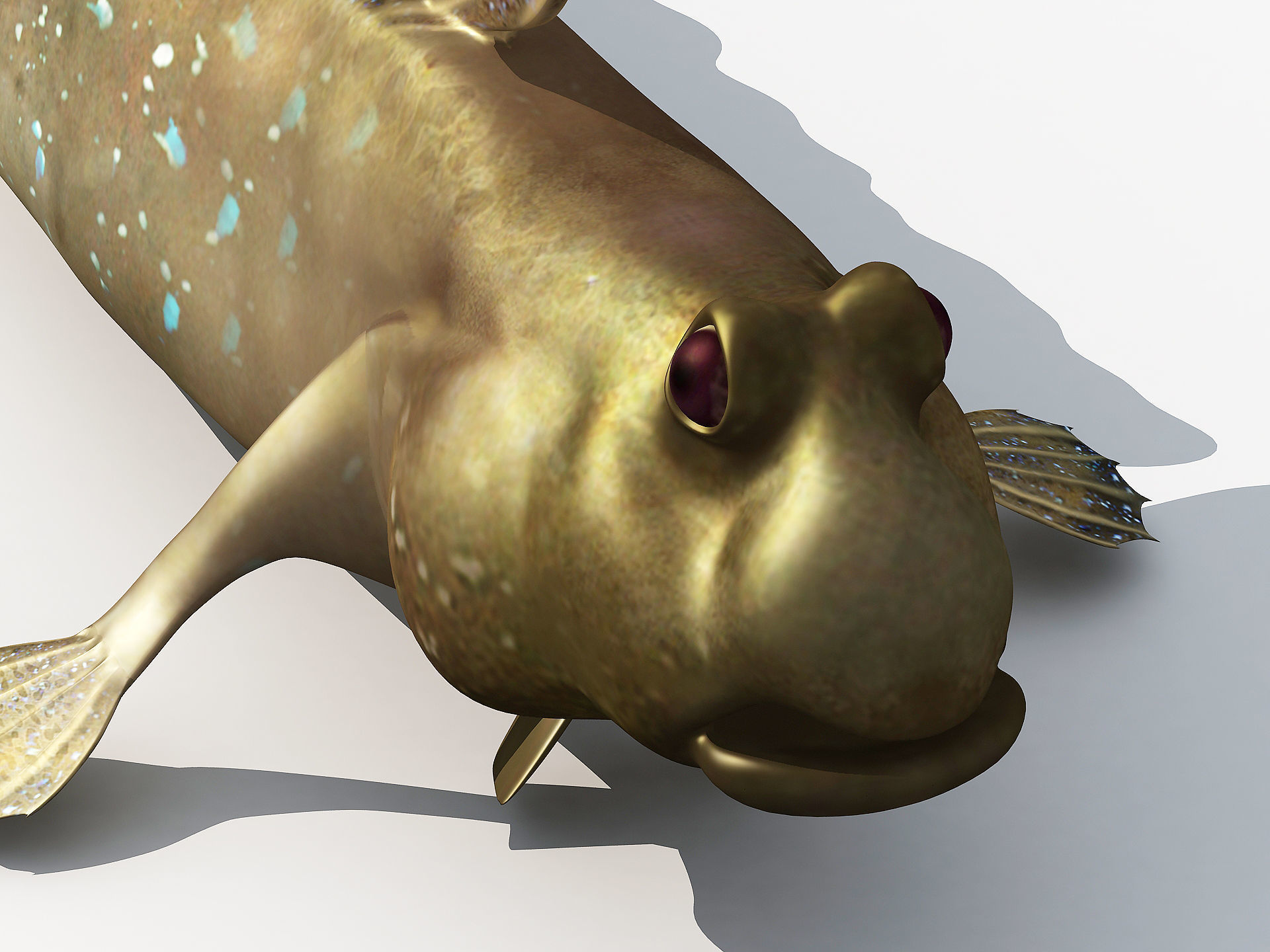 Jump Fish Boleophthalmus Pectinirostris Mudskippers  Low-poly 3D model_5