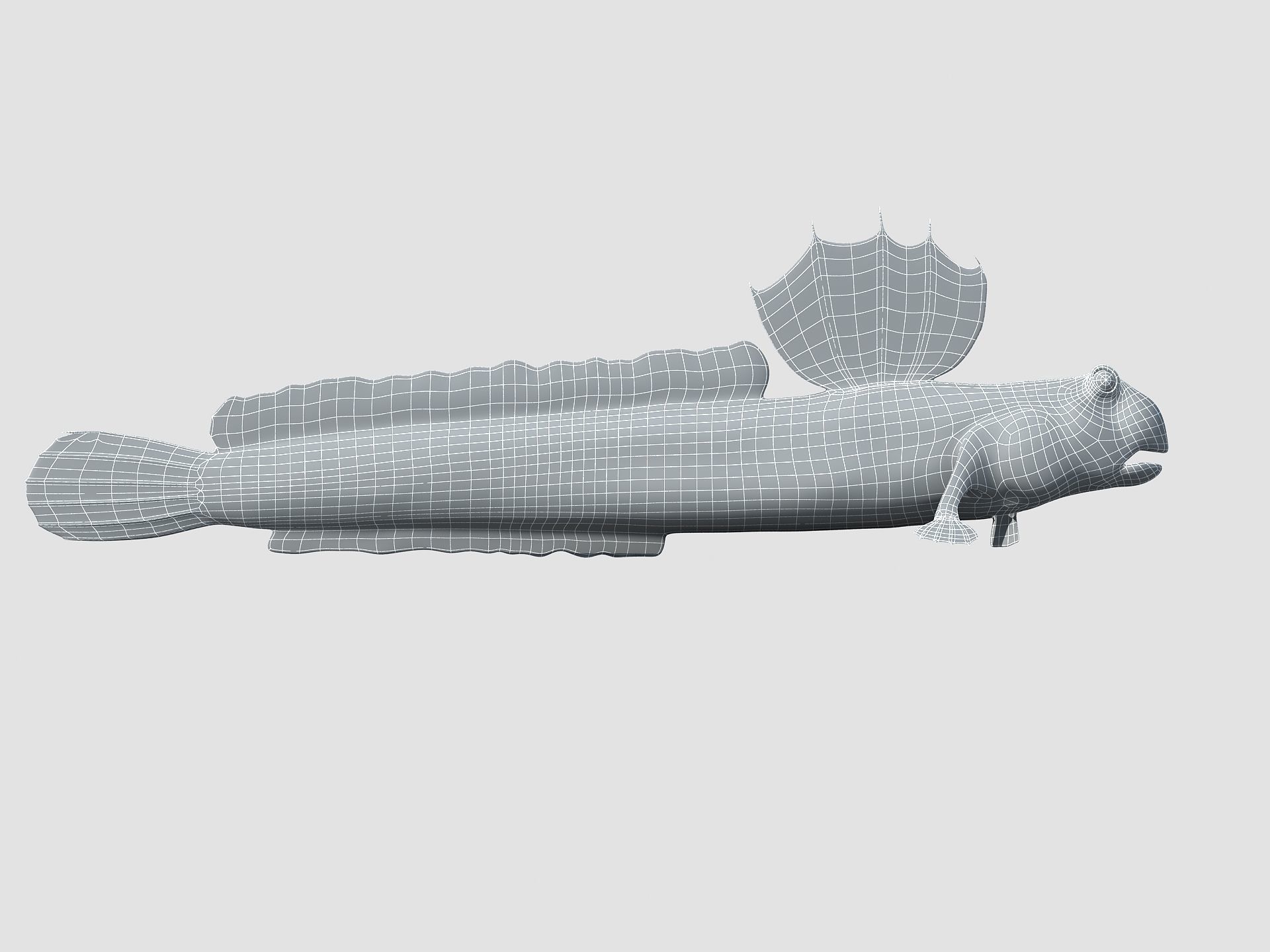 Jump Fish Boleophthalmus Pectinirostris Mudskippers  Low-poly 3D model_11