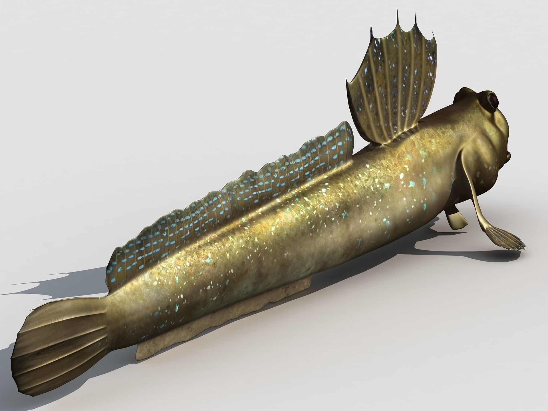 Jump Fish Boleophthalmus Pectinirostris Mudskippers  Low-poly 3D model_4
