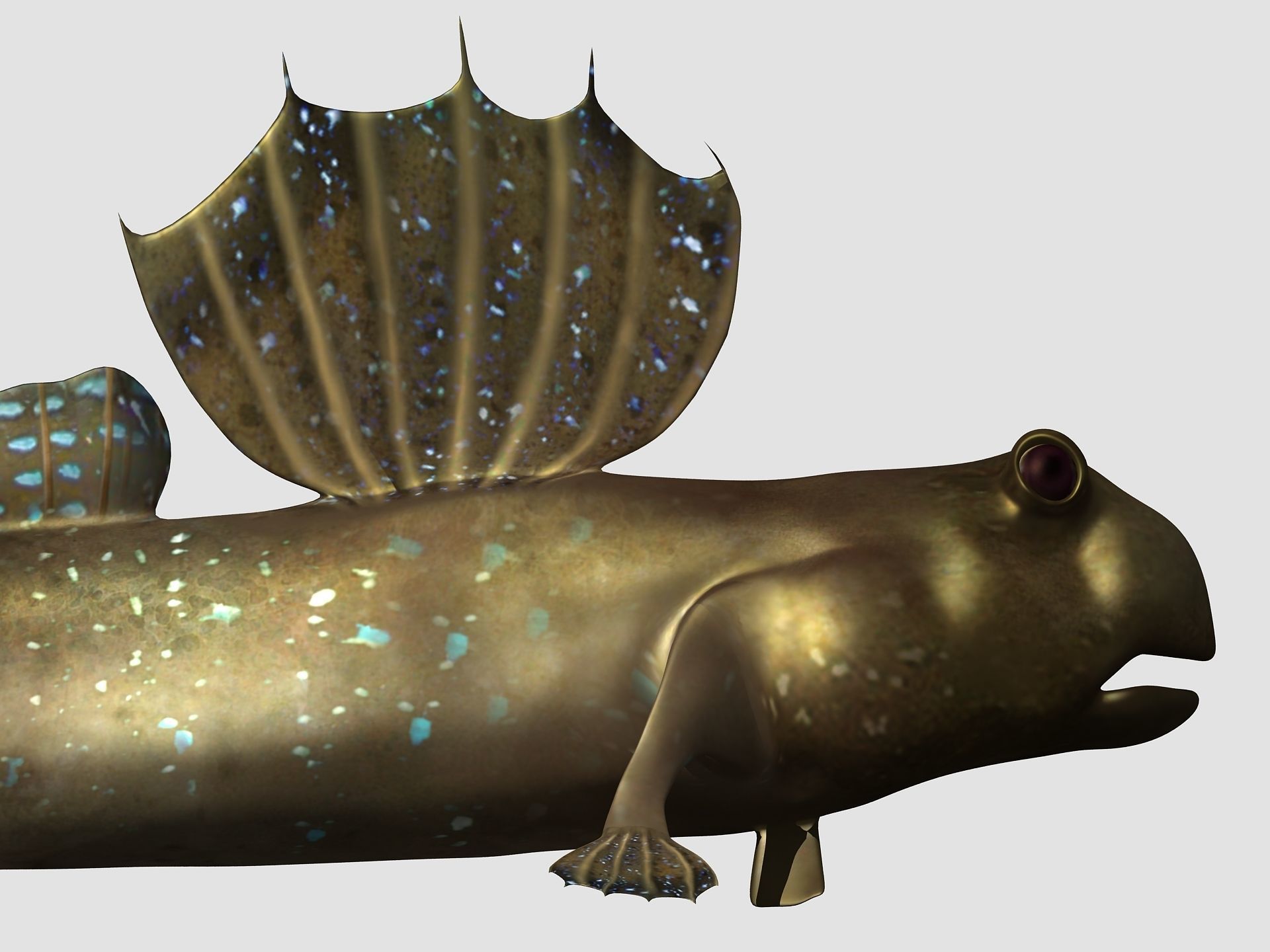 Jump Fish Boleophthalmus Pectinirostris Mudskippers  Low-poly 3D model_3