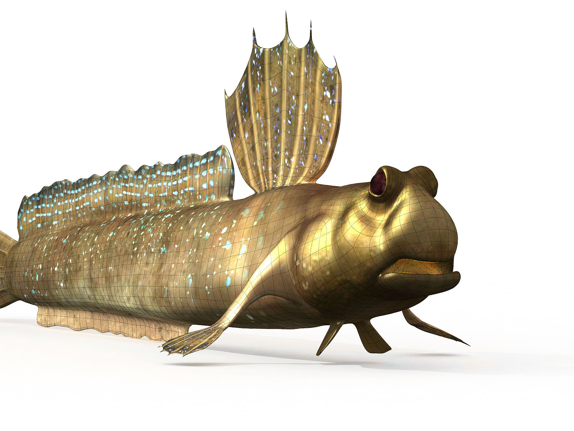 Jump Fish Boleophthalmus Pectinirostris Mudskippers  Low-poly 3D model_6