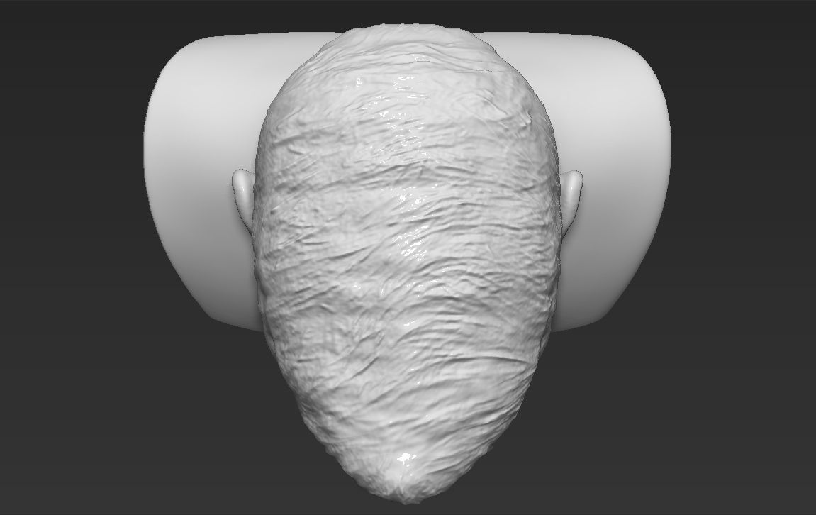 Robert Lewandowski World Cup 2018 bust ready for 3D printing 3D print model_20