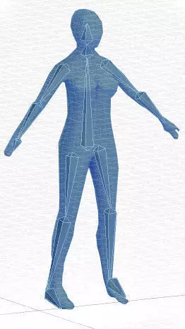 Female rigged anatomic low-poly model Free low-poly 3D model
