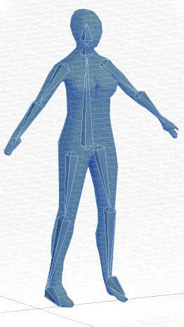 Female rigged anatomic low-poly model Free low-poly 3D model