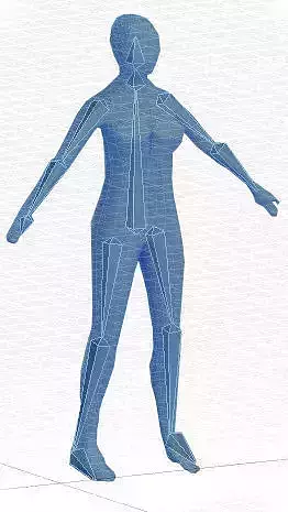 Female rigged anatomic low-poly model