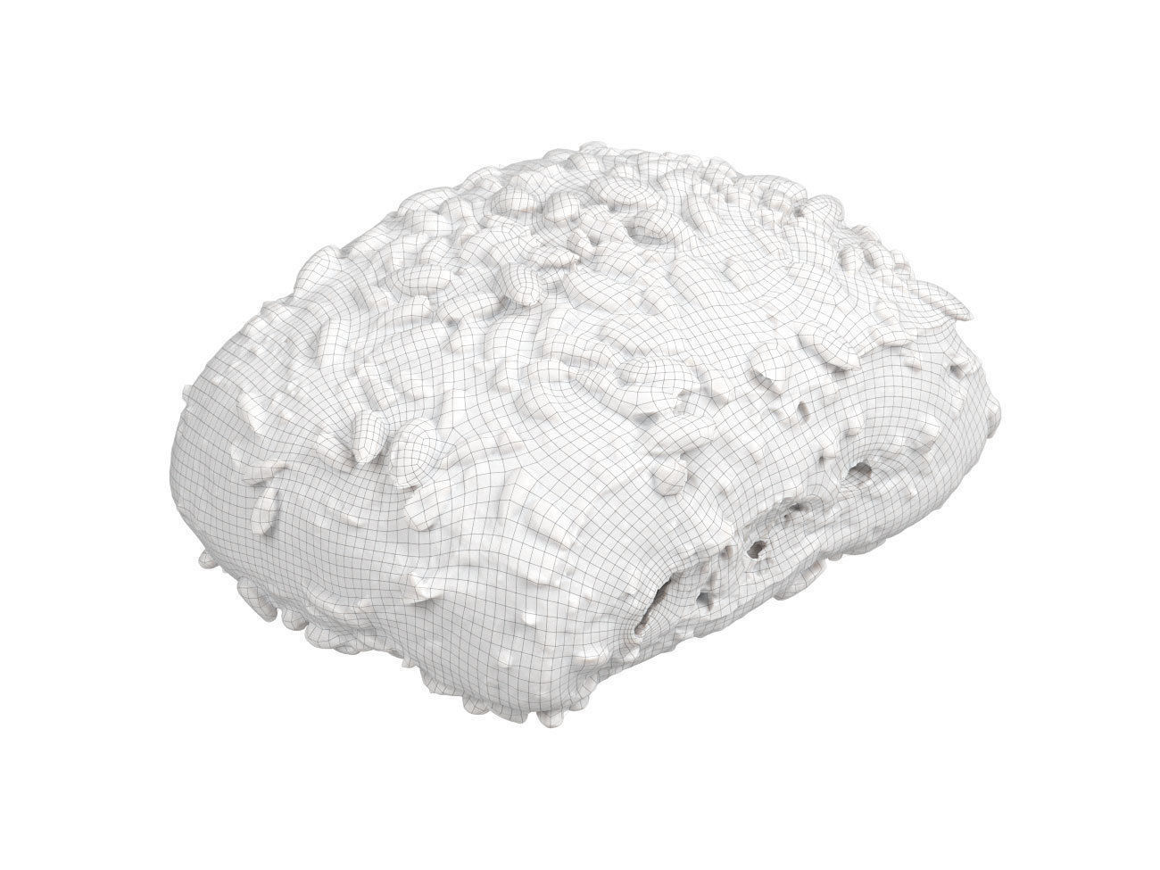 Photorealistic Pumpkin Seed Bread Roll 3D Scan 3D model_9