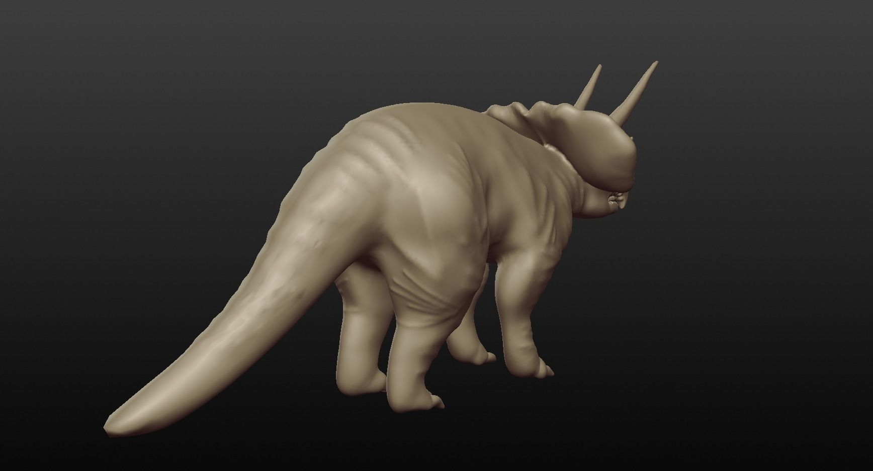 triceratops 3D model_14