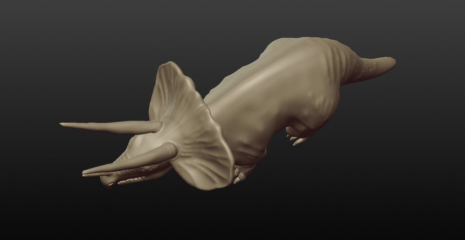 triceratops 3D model_9