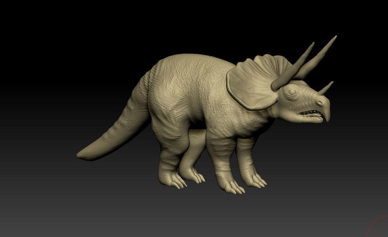 triceratops 3D model_17
