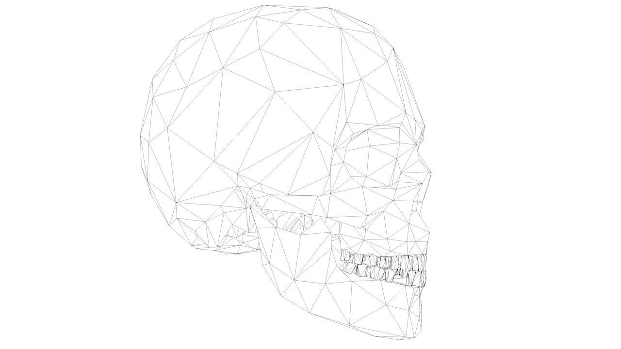 Lowpoly Human Skull Low-poly 3D model_11