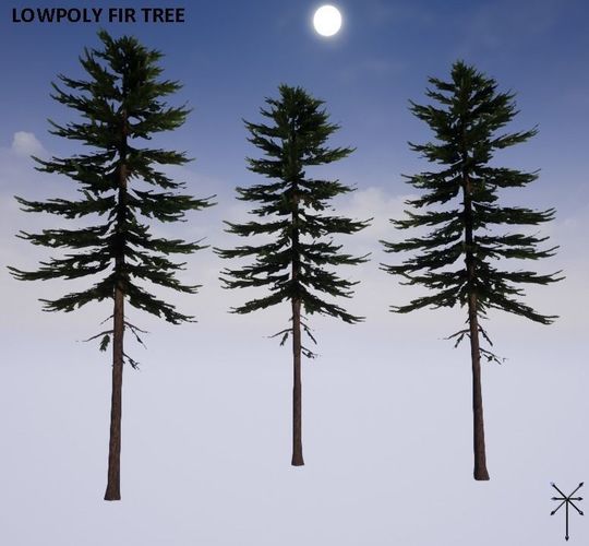 Lowpoly Fir tree Low-poly 3D model