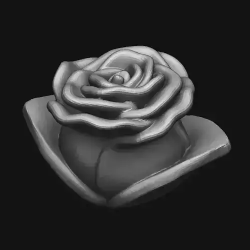 Rose Bloom