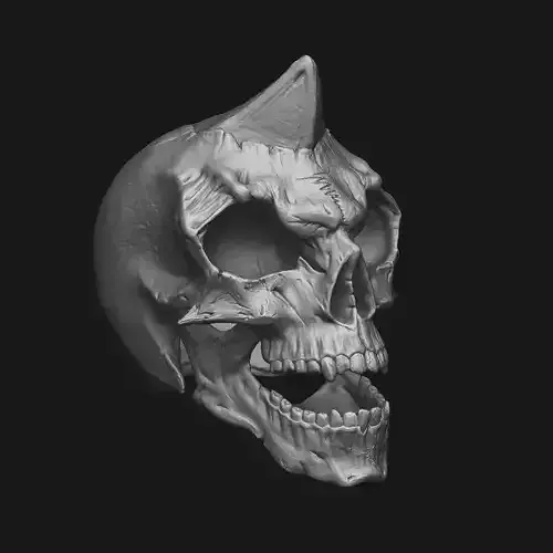 Skull