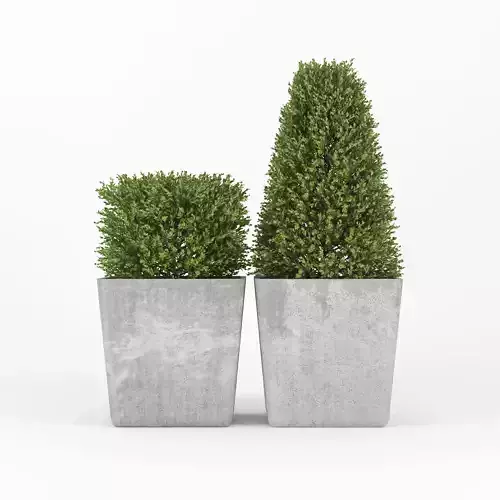 Bush concrete pot