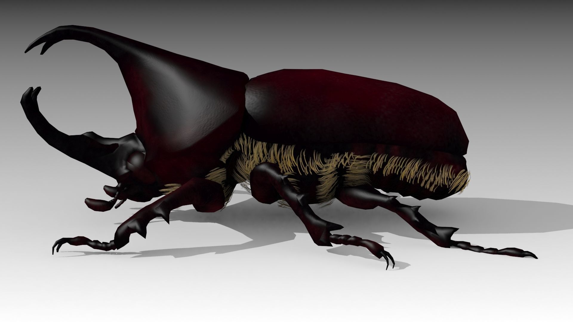Rhinoceros Beetle Low-poly 3D model_2
