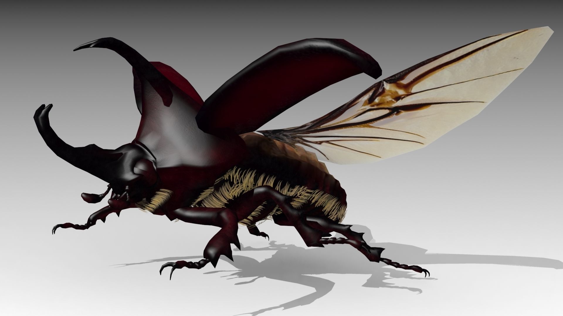 Rhinoceros Beetle Low-poly 3D model_7