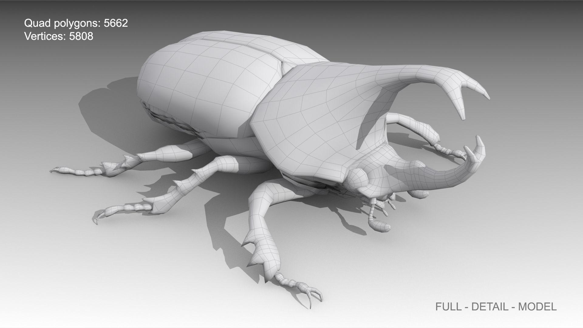 Rhinoceros Beetle Low-poly 3D model_3