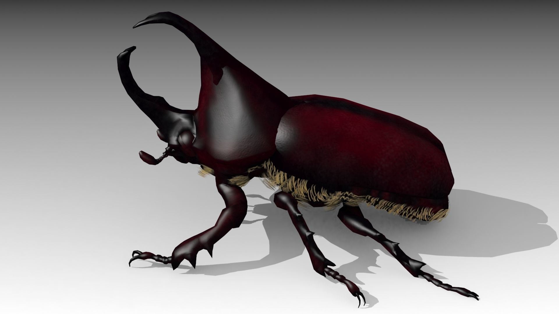 Rhinoceros Beetle Low-poly 3D model_6