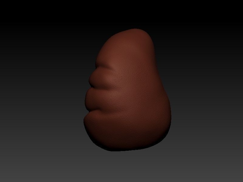 Spleen human liver 3D print model_3